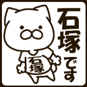 ISHIZUKA-cat