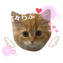 SAK_20200926232319