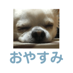 miki_20200926233902