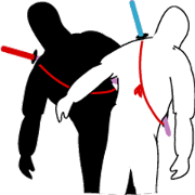 the partner volume of ninja 2 who moves