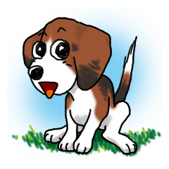 Beagle Robby The Funny Dog