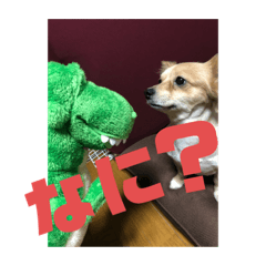 ansoni_20200926180415