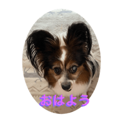 mimi_20200926182054
