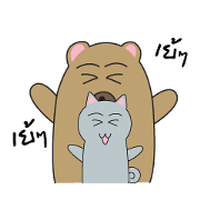 Family Bear cat