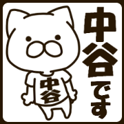 NAKATANI-cat