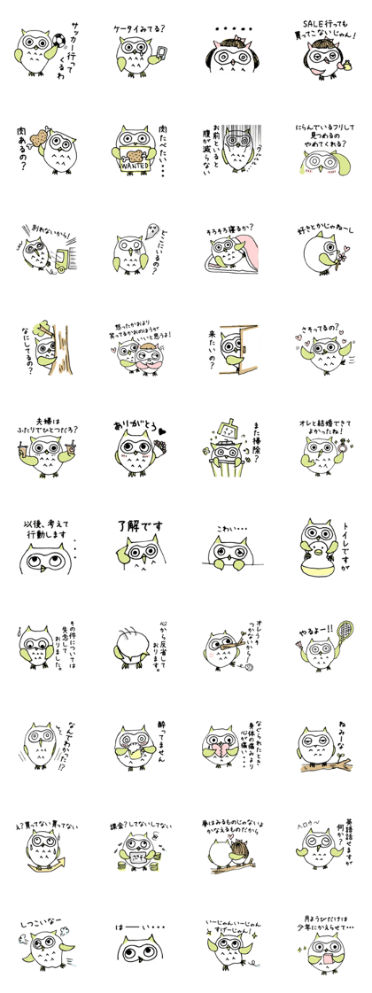 KOIBO-OWL-01
