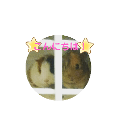 smile_20200926220638