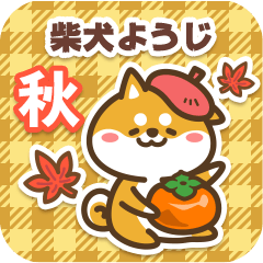 Shiba Youji in Autumn 2