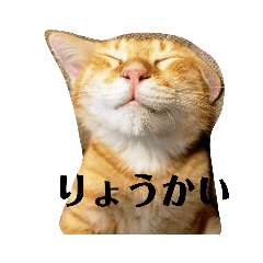 Chihiro_20200927032256