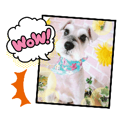 sharon_20200927111856