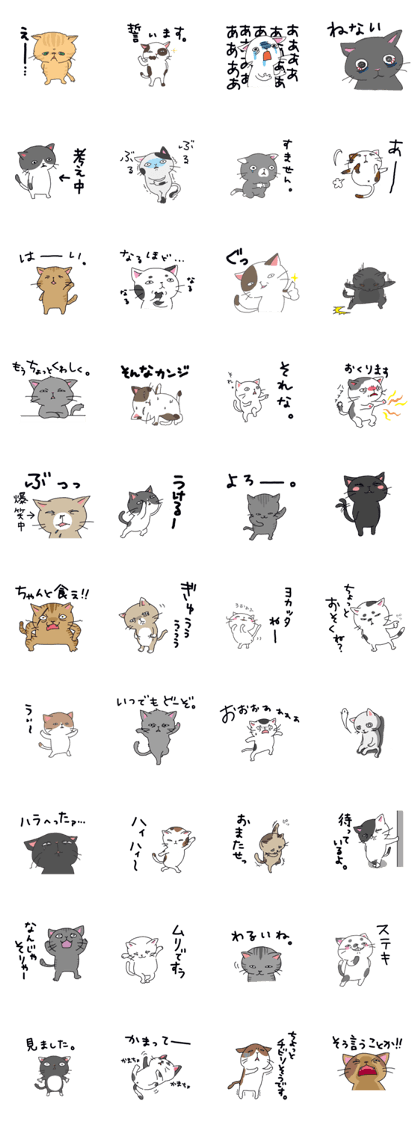 Sorrow of cat