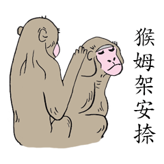 Taiwanese Idioms