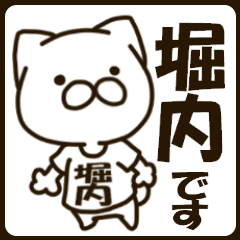HORIUCHI-cat
