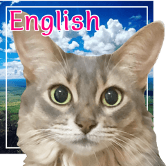 旅猫【BIG Stickers】English ver.