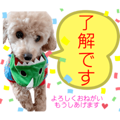 日常癒し