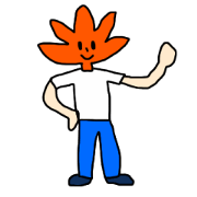 Mr.maple
