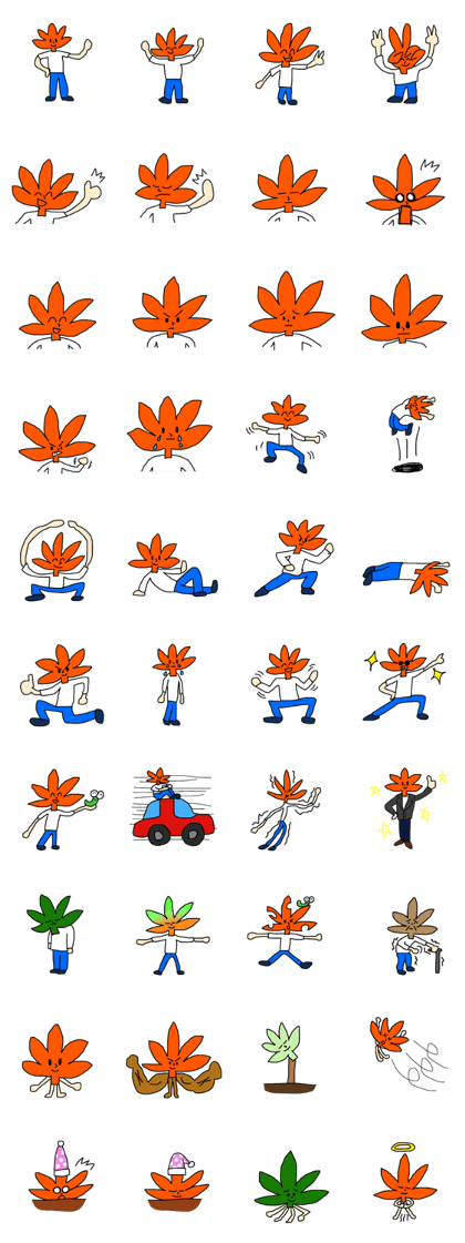 Mr.maple