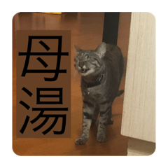 阿咪咪表情包