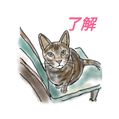 nekomaru_20200927131010