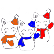 PUNK cat 5