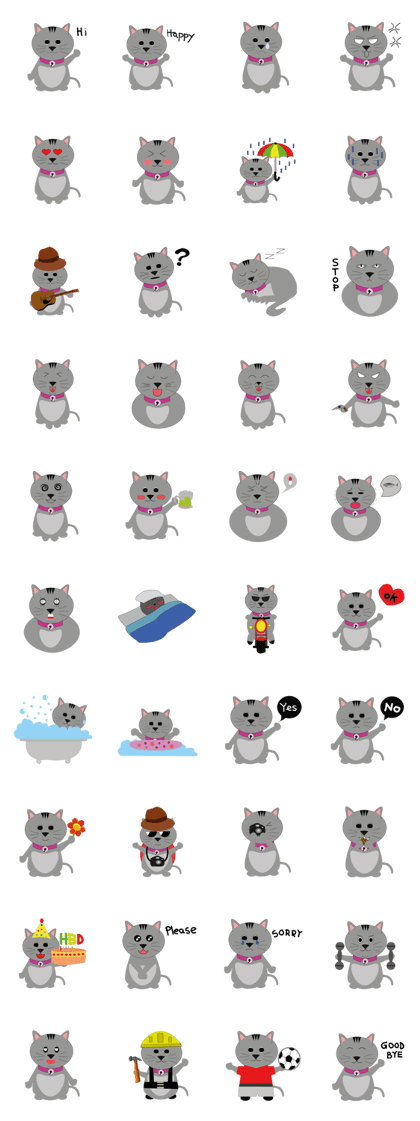 Gray the fat cat