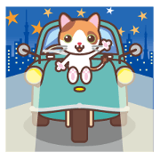 Calico cat and retrospective car