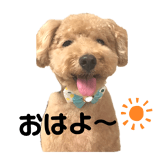 Riho_20200927131952
