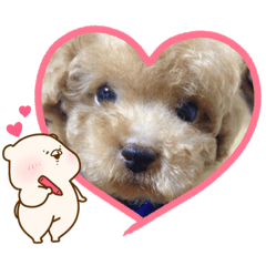chihiro_20200927155834