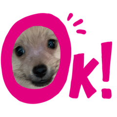 Mizuki_20200927131708