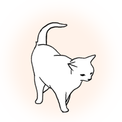 Real cat(animated)