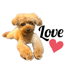 Risa_20200927164840