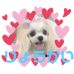 ayumi_20200927182254