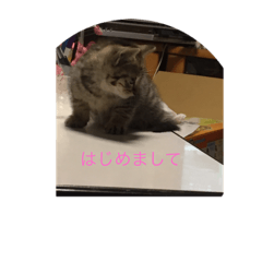 mimi_20200927190027