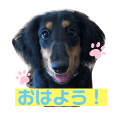 saori_20200927181423