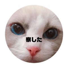 Hikari_20200927210433