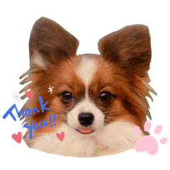 omochi_20200927233921