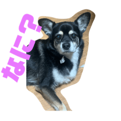 natsumi_20200928000638