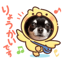 Natsumi_20200928002102