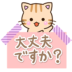 Cute Tiger cat (Notepad)