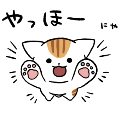 White and red tabby cat sticker 2