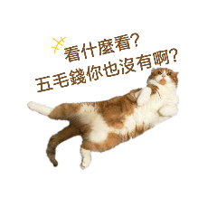 葛咪屁喵就是欠吸