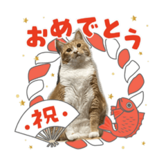 HARUNA_20200927180709