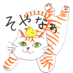 my orange tabby cat