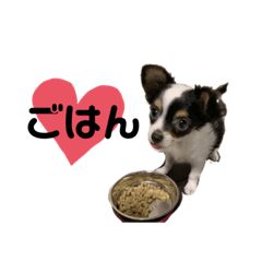 nozomi_20200928113236