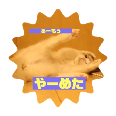 Hikari_20200928144454