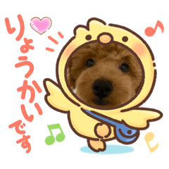 kitty_20200928083526