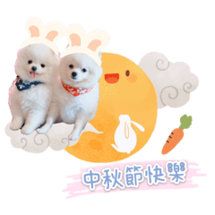 Tommy 的中秋節