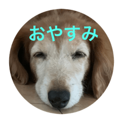 cocoa_20200928165007