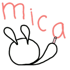 Rabbit named mica.2
