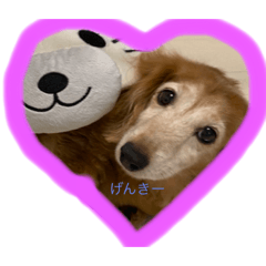 cocoa_20200928165040